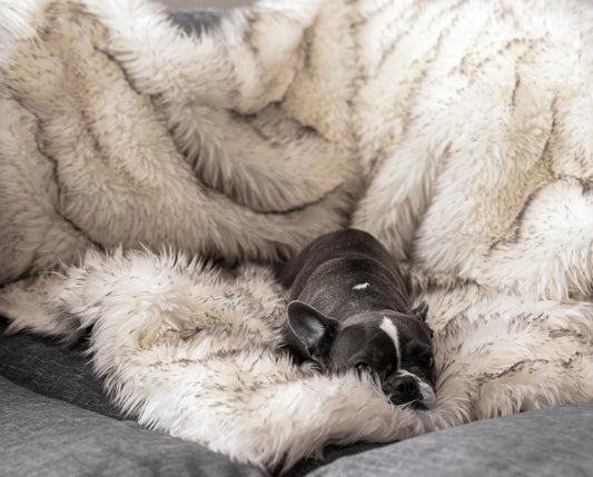 Fox Fur Waterproof Plush Dog House Plush Blanket Pet Nest